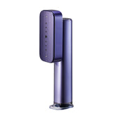 2-in-1 Professional Handheld Steam Iron